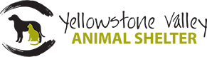 Yellowstone Valley Animal Shelter